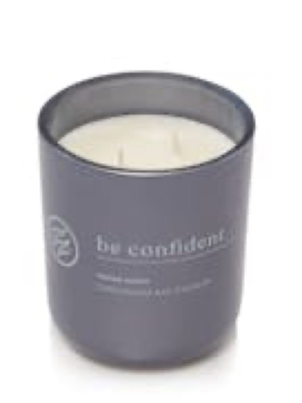 Chesapeake Bay Indigo Poppy Matte Blue Large 13oz Jar Candle